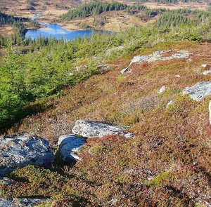Utsikt