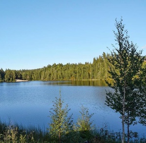Utsikt