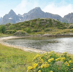 Utsikt