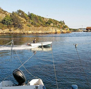 Byggnad