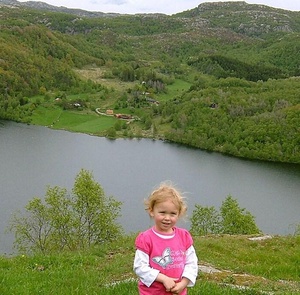 Annet