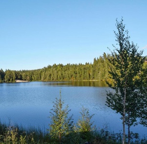 Utsikt