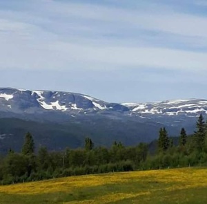 Utsikt