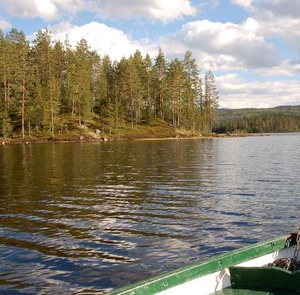 Utsikt