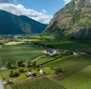 Utsikt