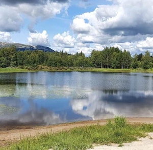 Utsikt