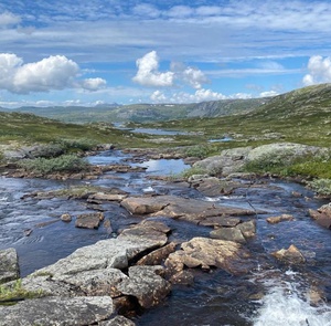 Utsikt