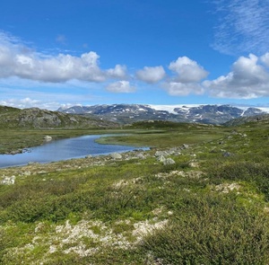 Utsikt