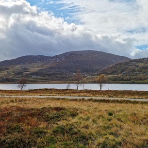 3 Bedroom Cozy Home In Vikeså