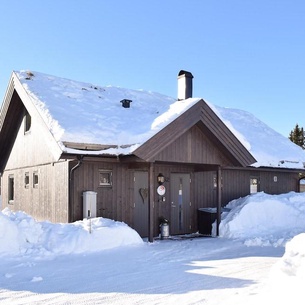 4 bedroom accommodation in Sjusjøen