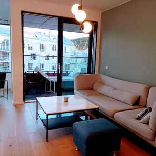 Beachfront Luxury Apartment By Central Station Oslo