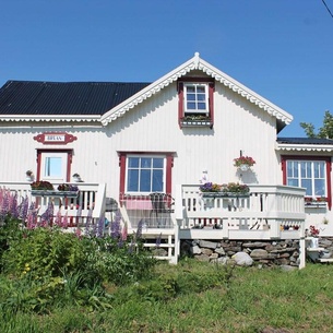 Bruan, Fredvang, Lofoten