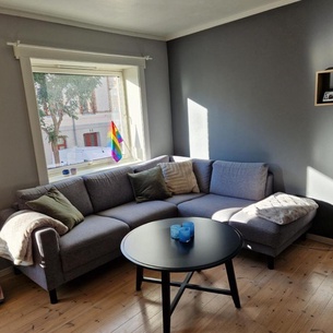 Central and cosy apartment in Trondheim, Free parkingspot