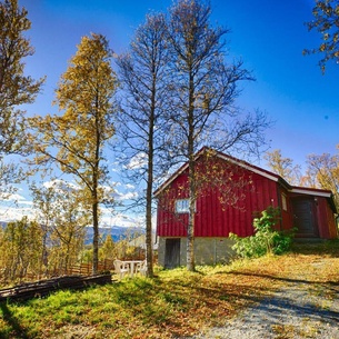 Charming Cabin Ski-In Access and Pet Friendly