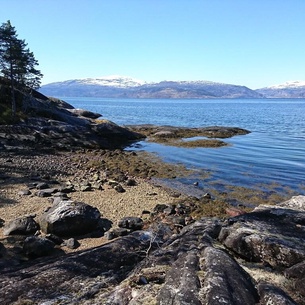 Cosy Cabin With Stunning View Tovards Mountain +hardangerfjord, Near Trolltunga