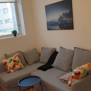 Cozy 1 bedroom apartment in Oslo centrum