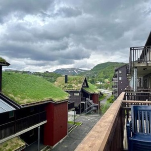 Cozy Apartment near alpine and trails in Sirdal