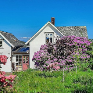 Cozy cottage on a large, secluded property.