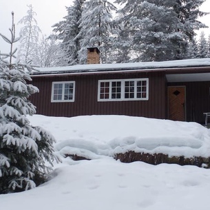 Cozy cottage with wood-burning stove and mountain views, set apart in wooded countryside.