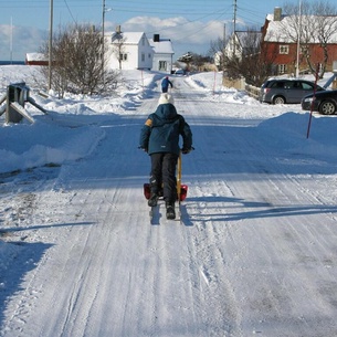 Experience The Adventures Of Andøy And Vesterålen