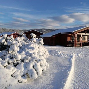 First Camp Bø - Telemark