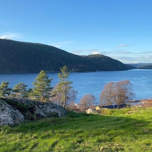 Funky cabin with a panoramic view of the Oslofjord