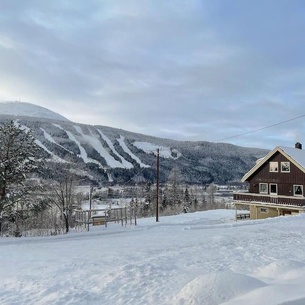 Gorgeous Home In Trysil With Kitchen