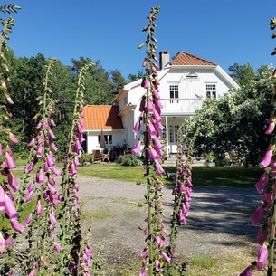 Landlig idyll 200 meter fra sjøen