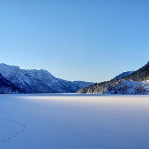 Large ground floor cottage directly on the fjord.