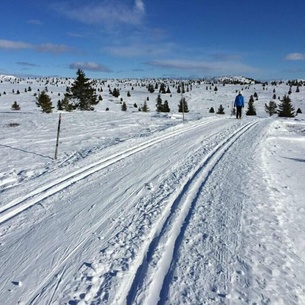 Lilleset Cabin - Gol