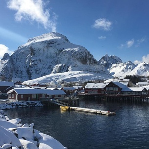 Lofoten Fishing