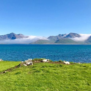 Midnight Sun Paradise Lofoten