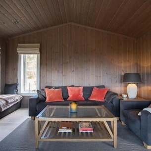 Modern cabin in beautiful Valdres