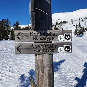 Ski-in/ski out at Lifjell . Perfect Place for Hikes in the Mountains