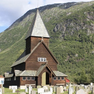 Skysstasjonen Cottages