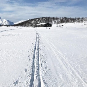 Tjeldøya