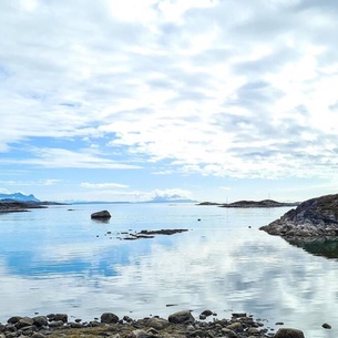 Welcome to this beautiful wooden cabin at Tjeldsundet.