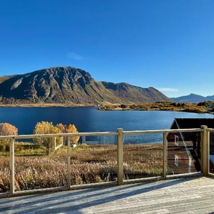 Wildlife Panorama Lofoten