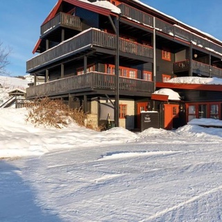 Beitostølen! Midt i sentrum! Ski in ski out! Badstue-Massasjedusj-Steamdusj