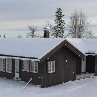Bergestua - 4 bedroom cabin