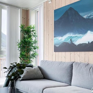 High standard Lodge Ballstad