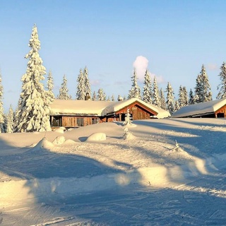 Nice Home In Sjusjøen With Sauna