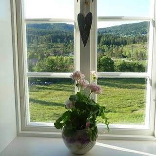 Tuddal Hyttegrend, Gamlestugu, Telemark
