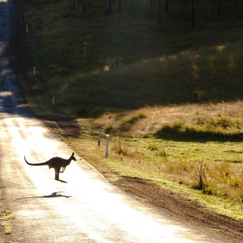 Australia